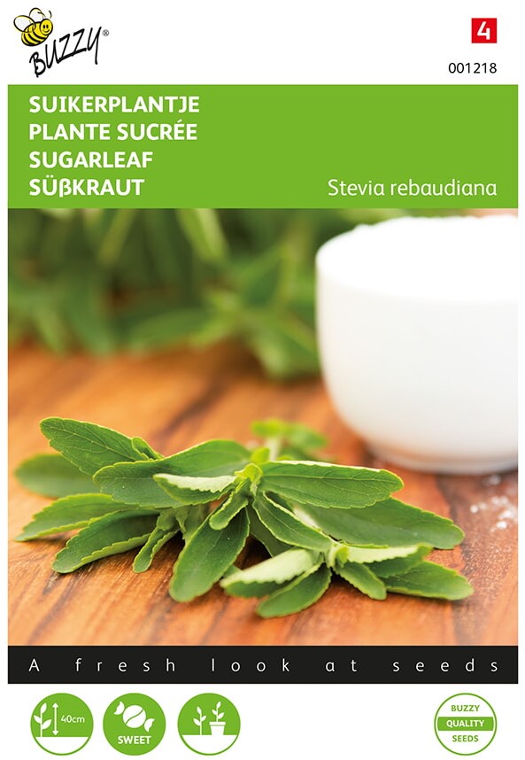 https://www.jardineriekoeman.fr/resize/001218_13801264445725.jpg/0/1100/True/stevia-plante-de-sucre-buzzy.jpg