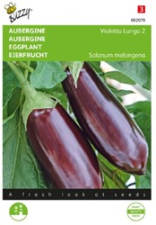 Aubergine - Violetta Lunga 2 - Solanum melongena