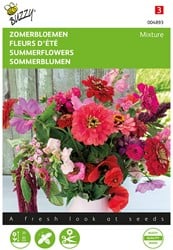 Fleurs d'été mélange Rose et rouge Buzzy