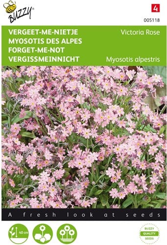 Myosotis des Alpes - Victoria rose