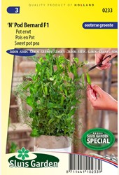 Pois en pot 'N' Pod Bernard F1 – Pisum sativum