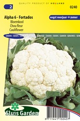 Chou fleur Alpha 6 Fortados - Brassica oleracea