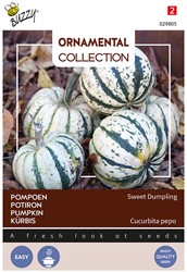 Potiron d'Hiver Sweet Dumpling - Ornamental Collection