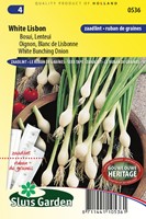 Oignon Blanc de Lisbonne RUBAN