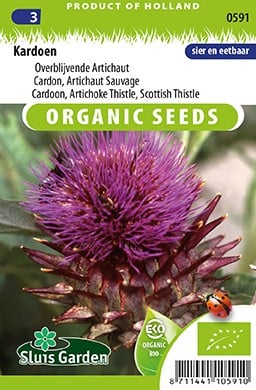 Cardon EKO - Cynara cardunculus