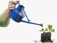 0,7L Arrosoir d'intérieur Pratique Bleu - Haws