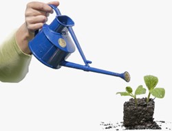 0,7L Arrosoir d'intérieur Pratique Bleu - Haws