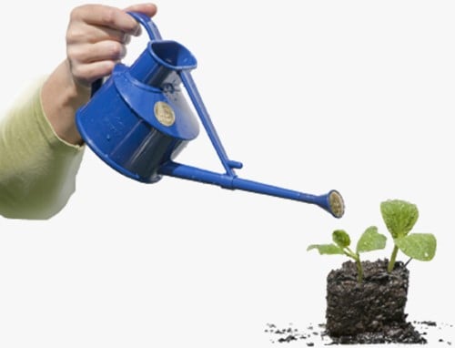 0,7L Arrosoir d'intérieur Pratique Bleu - Haws