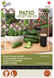 Concombre Casse Croûte Kalimero F1 - Patio Vegetables