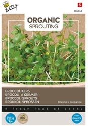 Brocoli à germer - Buzzy Organic Sprouting