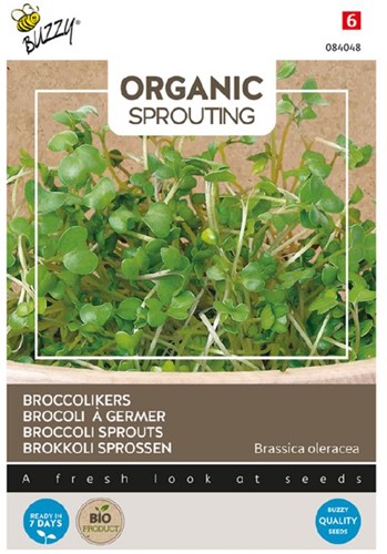 Brocoli à germer - Buzzy Organic Sprouting
