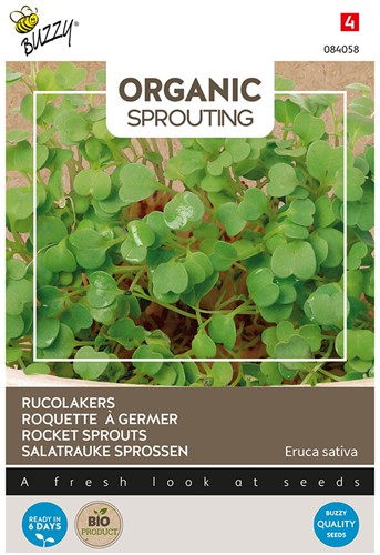 Roquette à germer - Buzzy Organic Sprouting