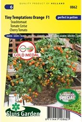 Tomate Cerise Tiny Temptations Orange F1 - Lycopersicon