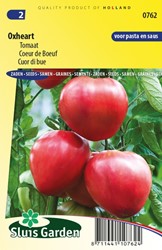 Tomate Géant Coeur De Boeuf - Pomodori Collection