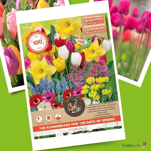 100 Jours Floraison Paquet