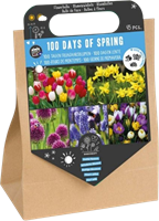 100 Dagen Lente – 45 bloembollen