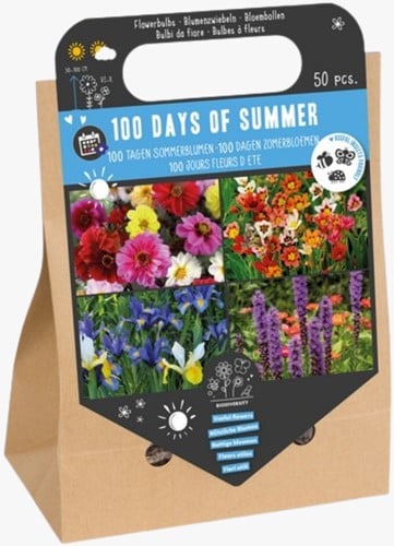 100 jours Fleurs d'Ete - Bulbers à Fleurs