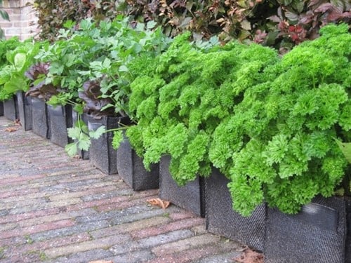 Sac pour plantes/Balcon/Mur 100% Recycle