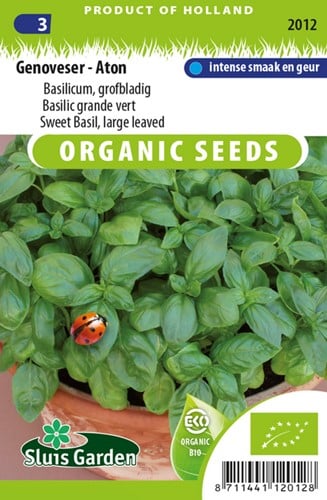 Basil grand vert. Genoveser - Aton EKO