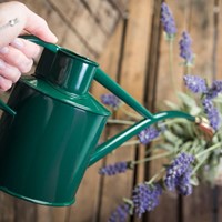 1L Binnengieter - kleur Groen - Haws-2