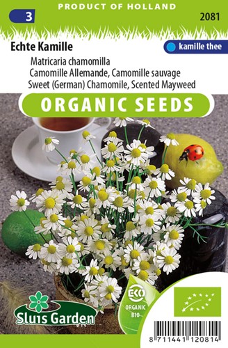 Camomille Allemande - Matricaria chamomilla EKO