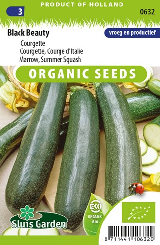 Courgette, Courge d Italie Black Beauty EKO