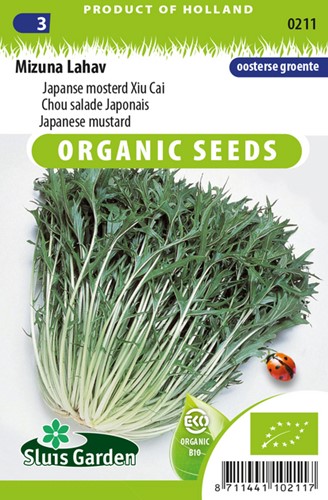 Chou salade Japonais Mizuna Lahav EKO