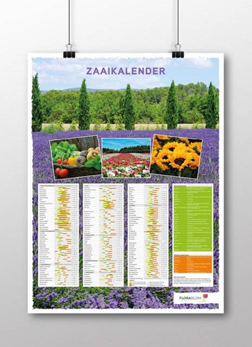Poster Calendrier des Semis Néerlandais-plié