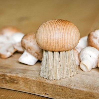 Brosse à champignons