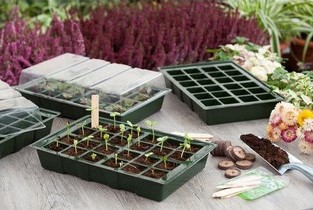Mini-serre de culture complet - Nature
