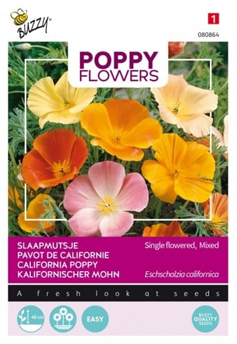 Pavot de Californie simple varié - Poppy Flowers
