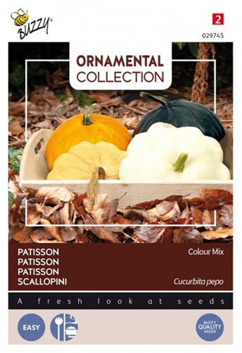 Courgette Pâtisson Colour Mix - Ornamental Collection