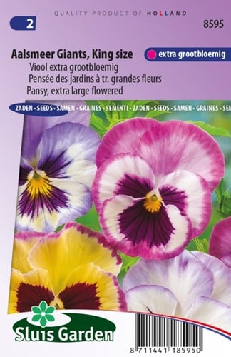 Pensée Aalsmeer Giants, King Size    Viola