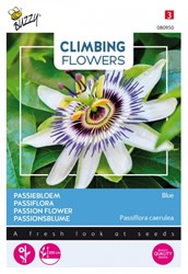 Passiflora Blue - Climbing Flowers