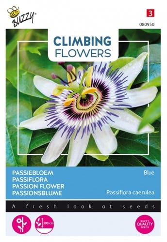 Passiflora Blue - Climbing Flowers