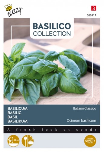 Basilic Italiano Classico - Basilico Collection