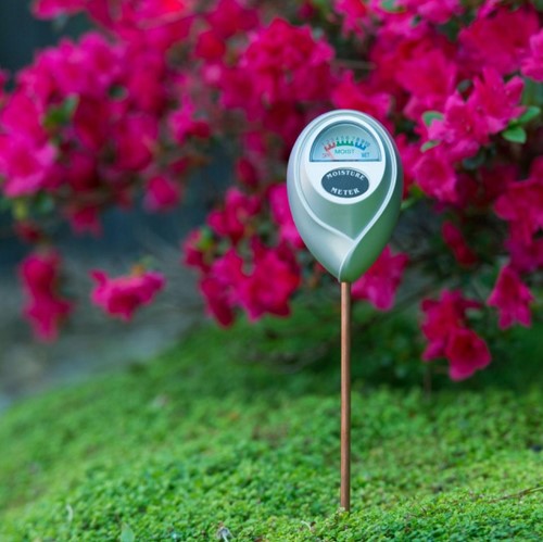 Humidimètre - Testeur d'humidité pour plante - Nature-2