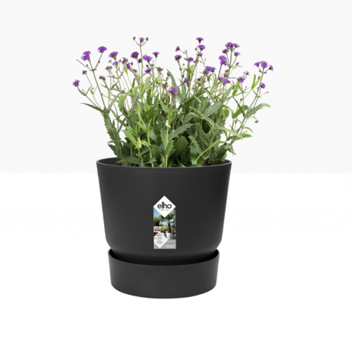 Greenville Round 30 cm Noir - Elho-2
