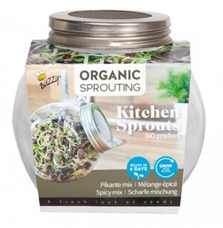 Organic Sprouting pot en verre - Mélange épicé