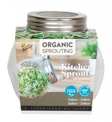 Daikon BIO - Organic Sprouting pot en verre