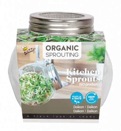 Daikon BIO - Organic Sprouting pot en verre