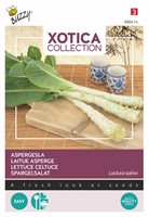 Asperge ou Laitue Asperge - Xotica Collection