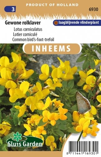 Lotier corniculé - Lotus corniculatus