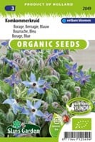 Bourrache Bleu EKO - Borago officinalis