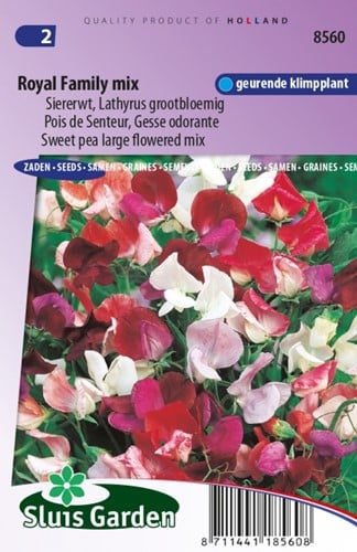 Pois de Senteur Royal Family Mix Lathyrus Odoratus