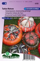 Cucurbita Coloquintes Turban des Turcs