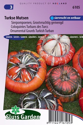 Cucurbita Coloquintes Turban des Turcs