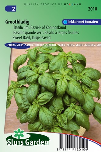 Basil Grand vert
