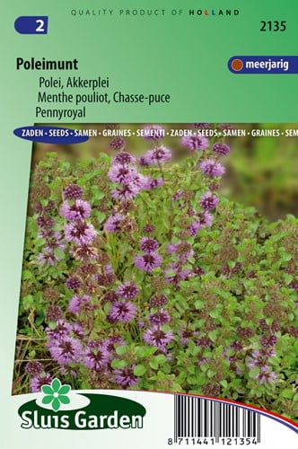 Mentha pouliot, Chasse-puce