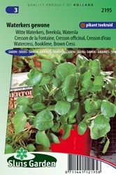 Cresson de la Fontaine - Nasturtium officinale